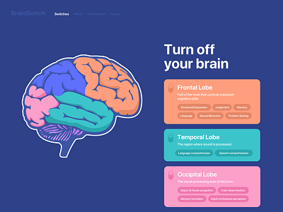 Turn off your brain 15 brain buttons daily ui daily ui 15 dailyui dailyui 15 dribbble graphic switch ui uidesign uiux ux uxdesign web webdesign