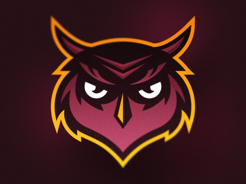 Owl Mascot Logo by Mason Dickson on Dribbble