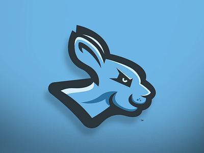 Kangaroo - Mascot Logo Design australia branding design esports gaming kangaroo logo mascot outback sports streaming