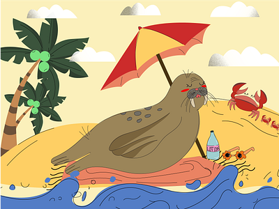 Summer Walrus design illustration ilustrations vector