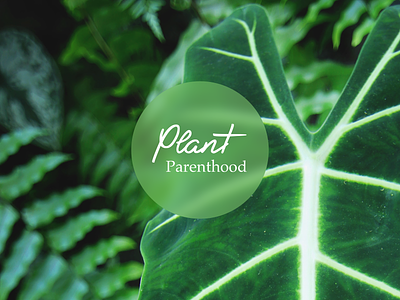 Plant Parenthood branding business clean design green house plants layout logo minimal photography plant plant care typography web