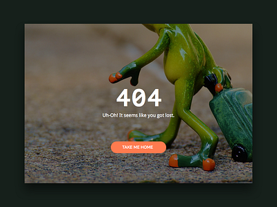 404 Page - Daily UI #008 404 daily home homepage interface lost page ui web