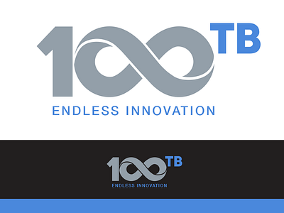 100tb Logo logo