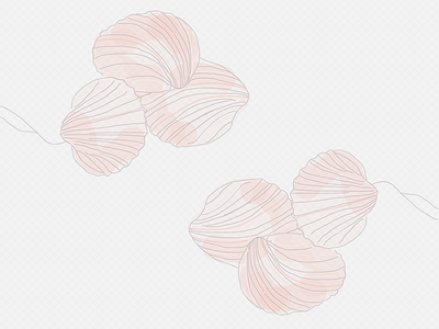 CShells design pattern shells symmetry