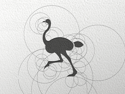 Ostrich logo design brand creativeidea illustrator logodesign ostrich