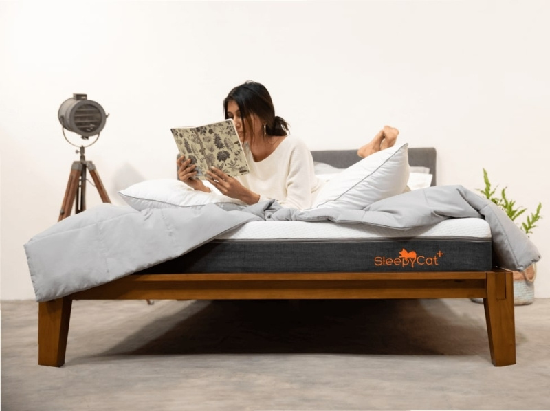 Buy Bed Online In India SleepyCat Ohayo by Geeta Sharma on Dribbble