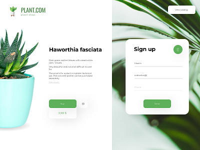 plant e-commerce webdesign