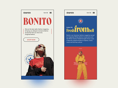 Bonito Fashion - Responsive Web branding customgraphics design ecommerce fashion flat flatdesign responsive responsivedesign shopify typography ui uitrend ux web webdesign