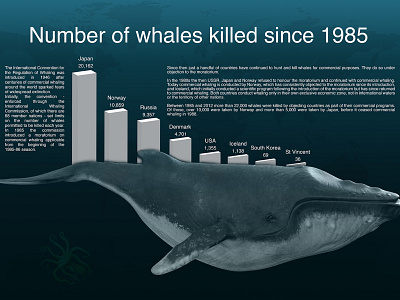Whales Infographic illustration infographic information design photomanipulation poster poster design