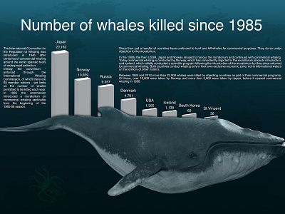 Whales Infographic