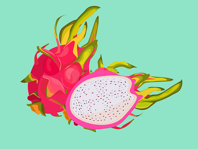Dragonfruit buisness design flatdesign illustration illustrator vector vectorart