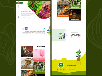 Design For a Dehydrated Products Exporter branding concept design landing page ui ux web