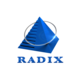 Radixweb