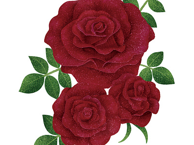 Red Roses digital art flowers illustration illustration art