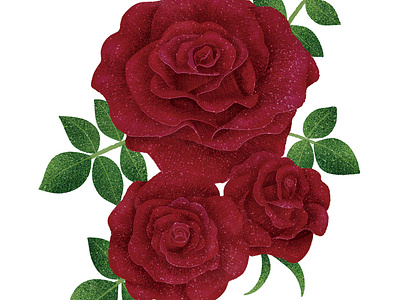 Red Roses