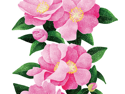 Camellia