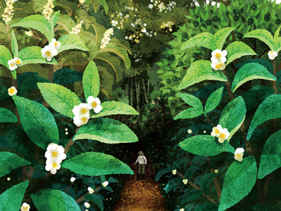 Grampa in the Forest digital art illustration illustration art