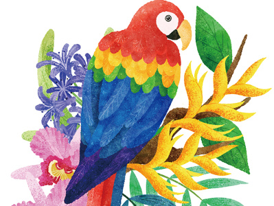 Parrot digital art flowers illustration illustration art