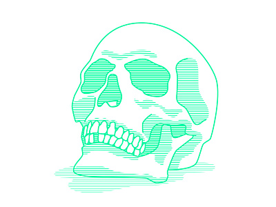 Skull green illustration lines skeleton skull vector