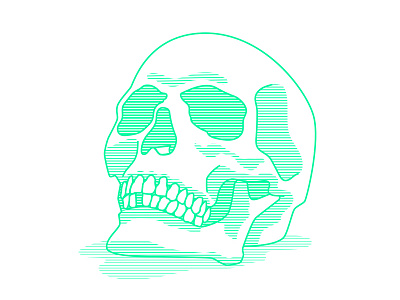 Skull