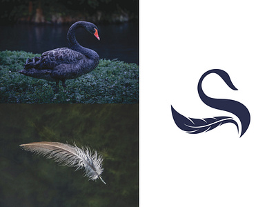 Feather + Duck Logo