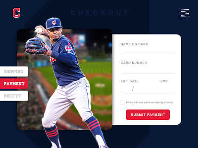 Daily UI Challenge Day TWO - Credit Card Checkout