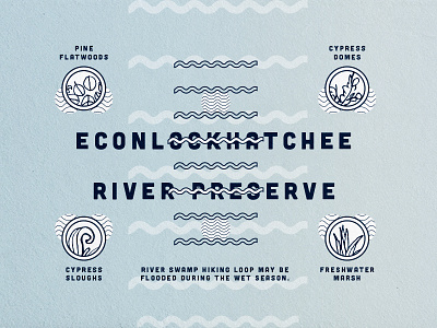 Econlockhatchee River Preserve art direction branding