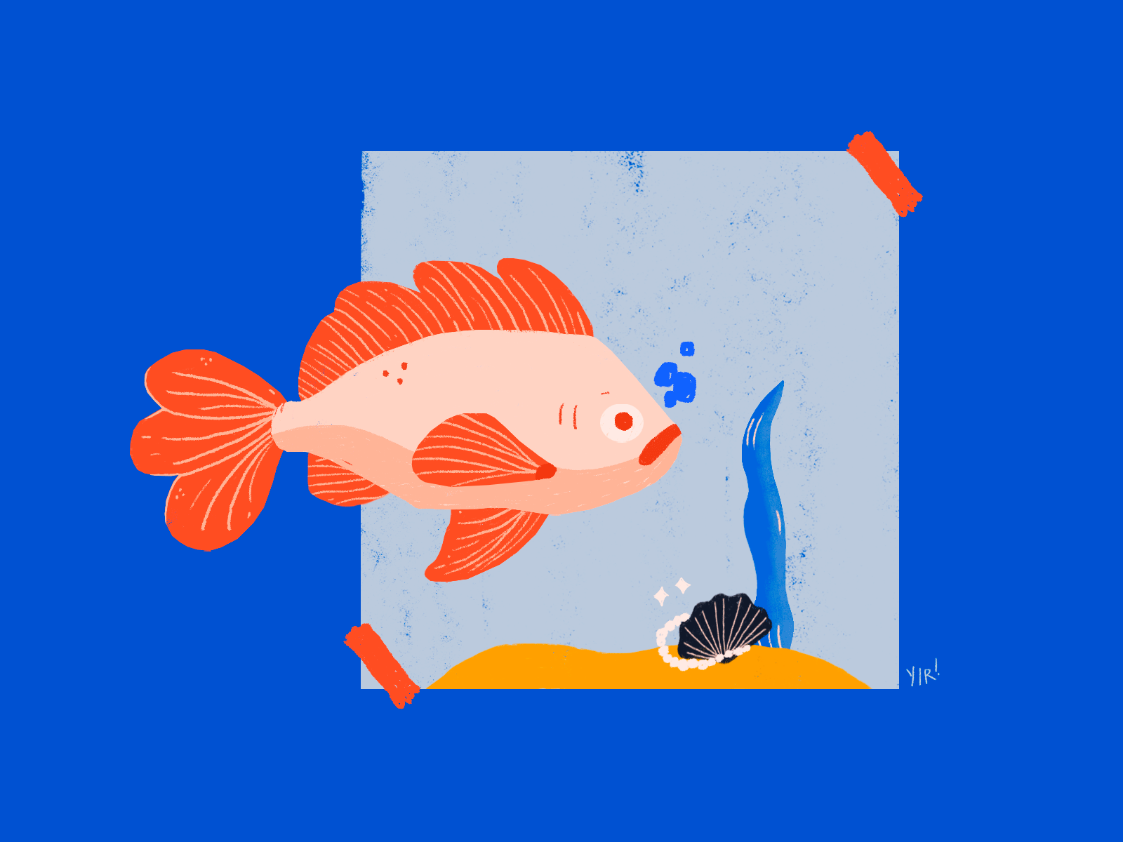 Pargo rojo / Red snapper animation beach bright color caribbean fish illustration ocean red snapper sad face seashell venezuela