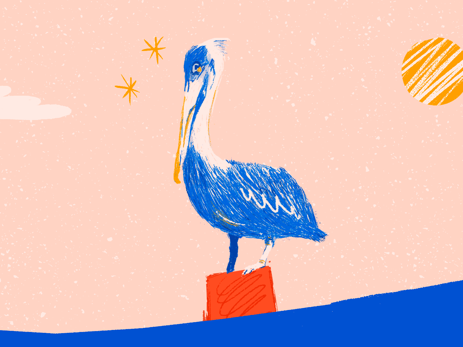 Pelicano in a bucket animal illustration animation beach bright color bucket caribbean illustration ocean ocean animals ocean creatures pelican pelicano texture illustration textures venezuela