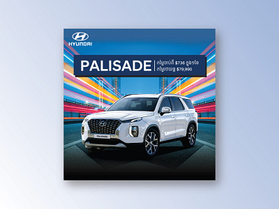 Palisade Promotion Poster