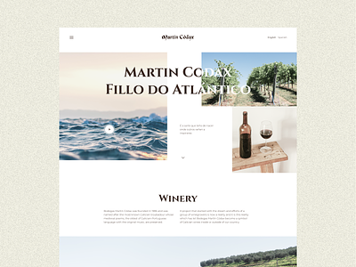 Wine/Winery/Website