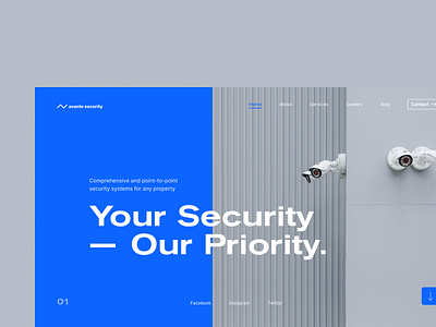 Web concept_Security