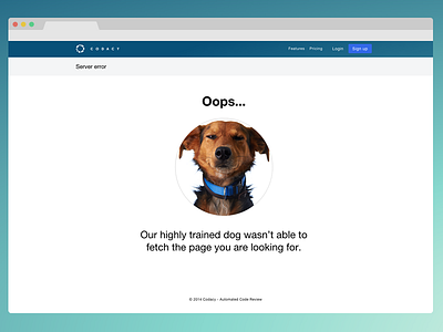 Error Page