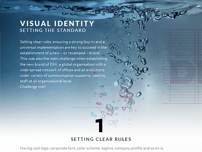 VISUAL IDENTITY - Setting the Standard branding identity rules