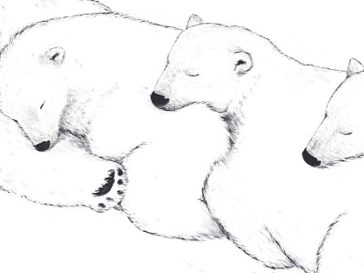 Digital drawing of sleeping polar bears bears digitalart drawings graphic illustration