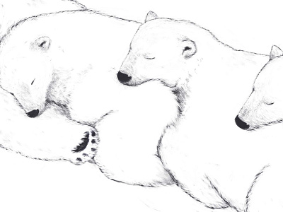 Digital drawing of sleeping polar bears