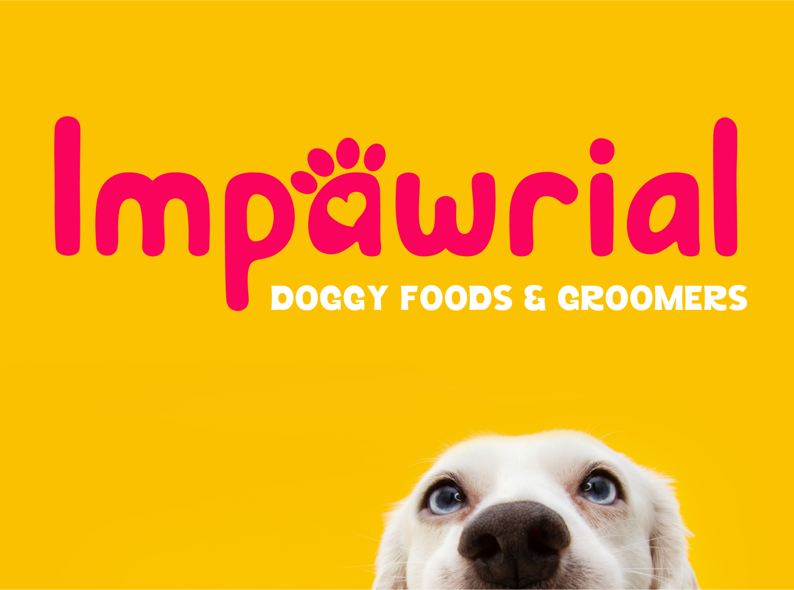 impawrial-dog-branding-concept-by-merdene-design-studio-on-dribbble
