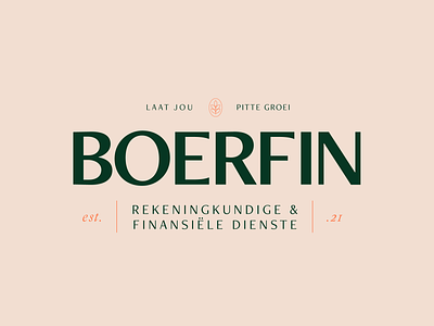 Boerfin Financial Services Logo Design & Branding