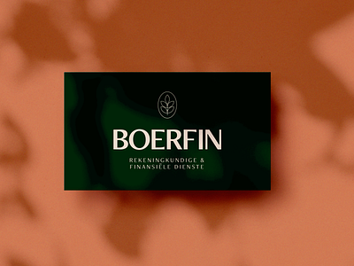 Boerfin Financial Services Logo Design & Branding