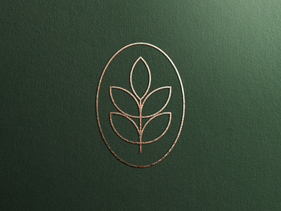 Boerfin Financial - Logo Design & Branding
