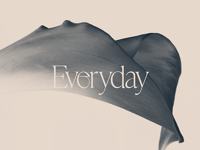 Everyday Beauty Salon Logo Design & Branding