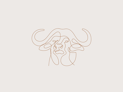 Boerfin Financial Line Art Logo