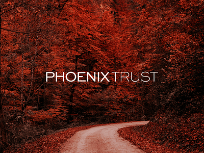 Phoenix Trust - Financial Logo & Branding brand designer brand identity branding business business branding business design corporate corporate identity design finance financial financial advisor graphic design logo logo design logos vector