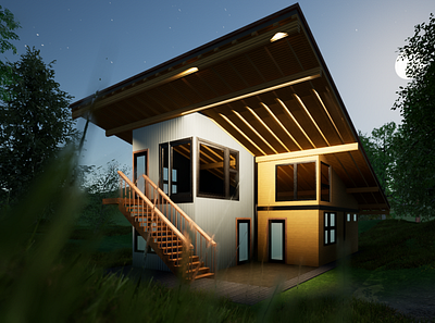 Exterior Night rendering animation architecture exterior design render revit sketchup twinmotion