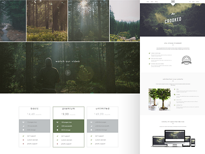 Crooked - Multipurpose Landing Page Template