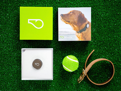 Whistle box chicago design womb dogs electronic package design packaging pets san francisco tech technology