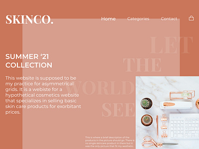 Skinco Asymmetrical grid landing page