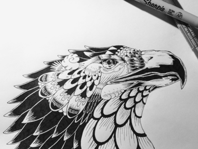 Eagle sketch bird eagle eye ink sketch