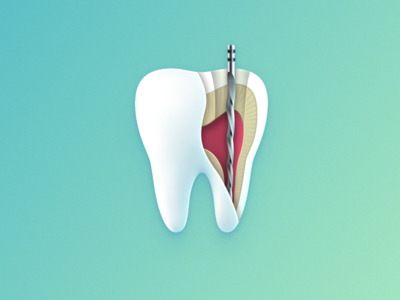 tooth root