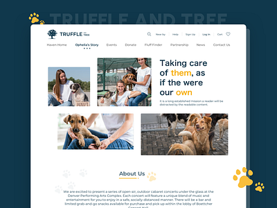 Pet Adoption about us adoption animation branding dog logo ui